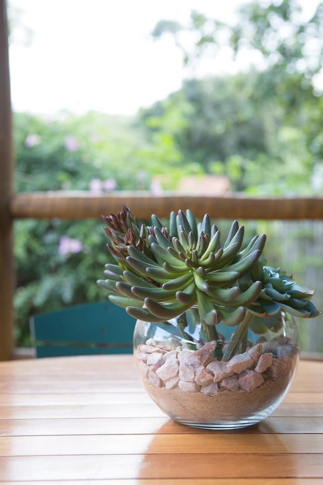 Imagem do quarto Suíte Premium